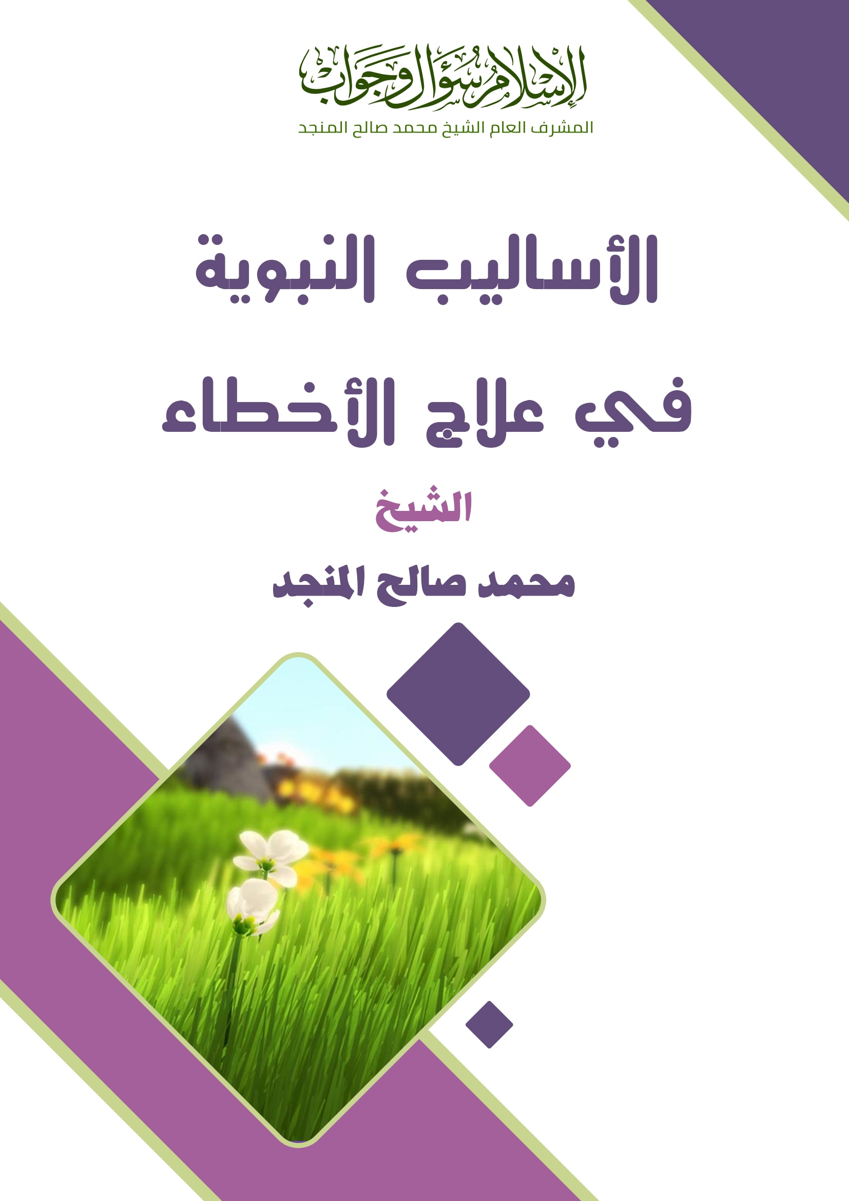 الأساليب النبوية في معالجة الأخطاء