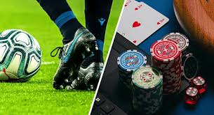 Exploring 5003 Bet A Comprehensive Guide to Online Betting Exploring 5003 Bet A Comprehensive Guide to Online Betting