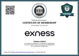 Mastering Exness MT4 64 Bit A Comprehensive Guide Mastering Exness MT4 64 Bit A Comprehensive Guide