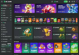 The Rise of Online Betting Explore the Features of Bookmaker BC Game