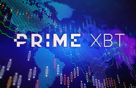 The Ultimate Guide to PrimeXBT Info Hub 7 The Ultimate Guide to PrimeXBT Info Hub 7