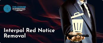 Enhancing Financial Operations Control The Role of Interpol 372658922