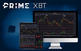 Exploring Trading Opportunities on PrimeXBT in Turkey