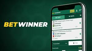 BetWinner Online Casino A Comprehensive Guide