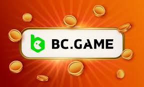 Understanding the KYC Verification Process at BC.Game